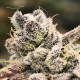 Blackberry Moonrocks | TanieSianie.pl