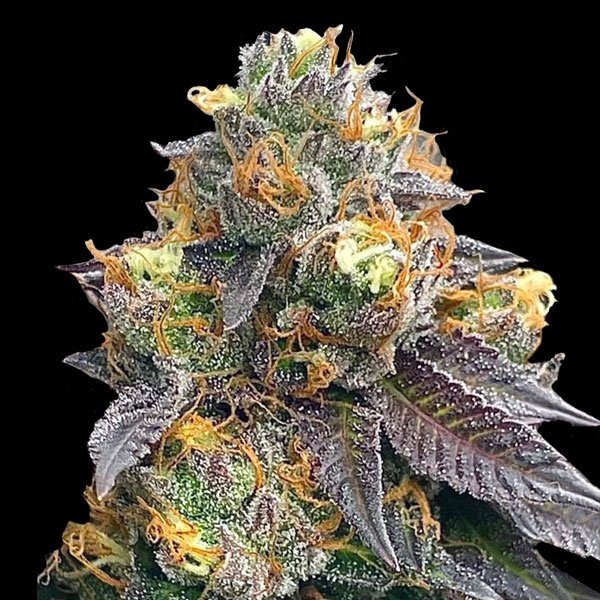 Red Strawberry Banana  Auto | TanieSianie.pl