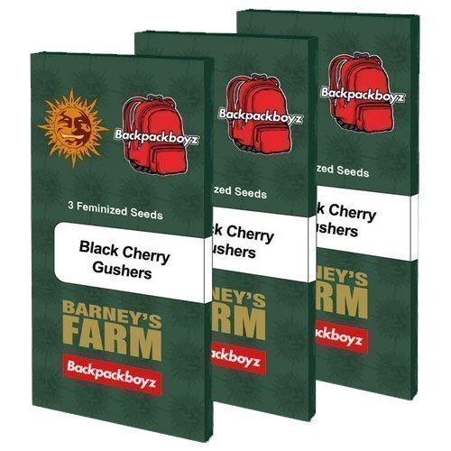 Black Cherry Gushers - BARNEY'S FARM | TanieSianie.pl
