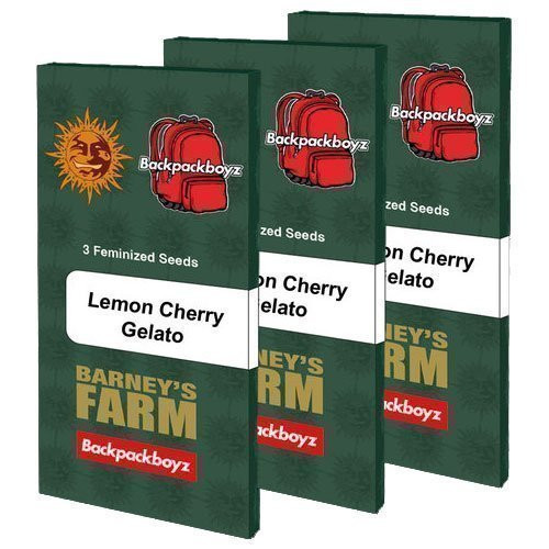 Lemon Cherry Gelato - BARNEY'S FARM | TanieSianie.pl