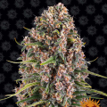 Blue Cheese - BARNEY’S FARM
