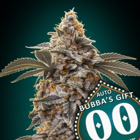 Bubba's Gift Auto - 00 SEEDS BANK | TanieSianie.pl