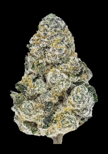 Lemonpaya - FASTBUDS | TanieSianie.pl