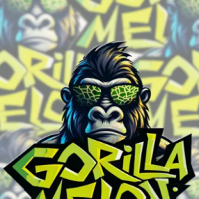 Gorilla Melon - FASTBUDS | TanieSianie.pl