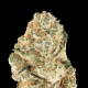 Gorilla Melon - FASTBUDS | TanieSianie.pl