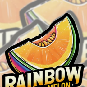 Rainbow Melon - FASTBUDS | TanieSianie.pl