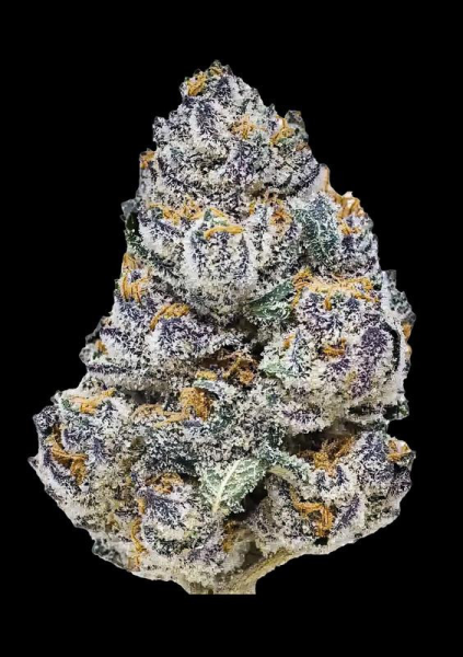 Rainbow Melon - FASTBUDS | TanieSianie.pl