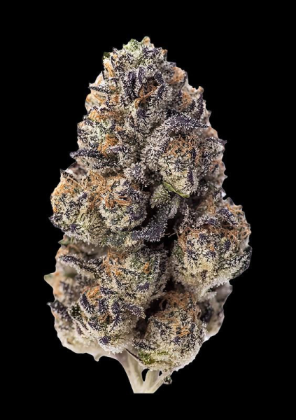 Papaya Sherbet - FASTBUDS | TanieSianie.pl