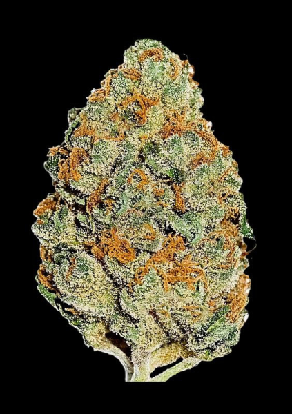 Lemon Mandarin - FASTBUDS | TanieSianie.pl