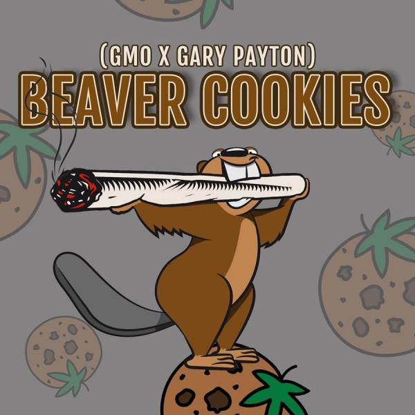 Beaver Cookies - ELEV8 SEEDS | TanieSianie.pl