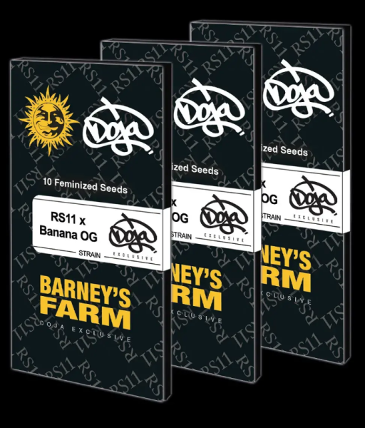 RS11 x Banana OG - BARNEY'S FARM | TanieSianie.pl