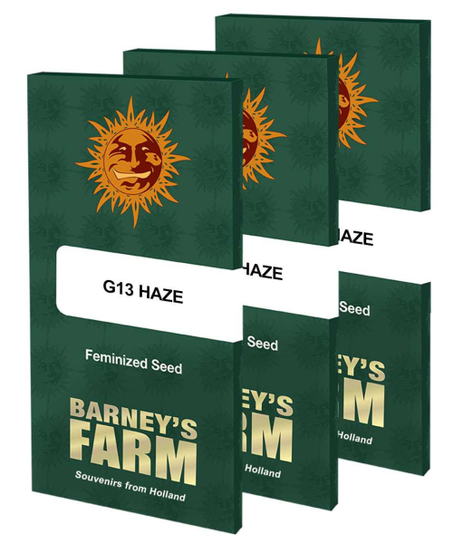 G13 Haze - BARNEY’S FARM | TanieSianie.pl