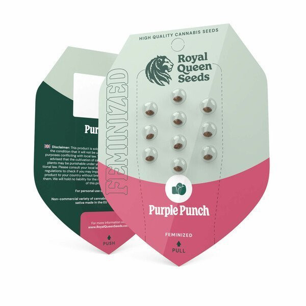 Purple Punch - ROYAL QUEEN SEEDS | TanieSianie.pl