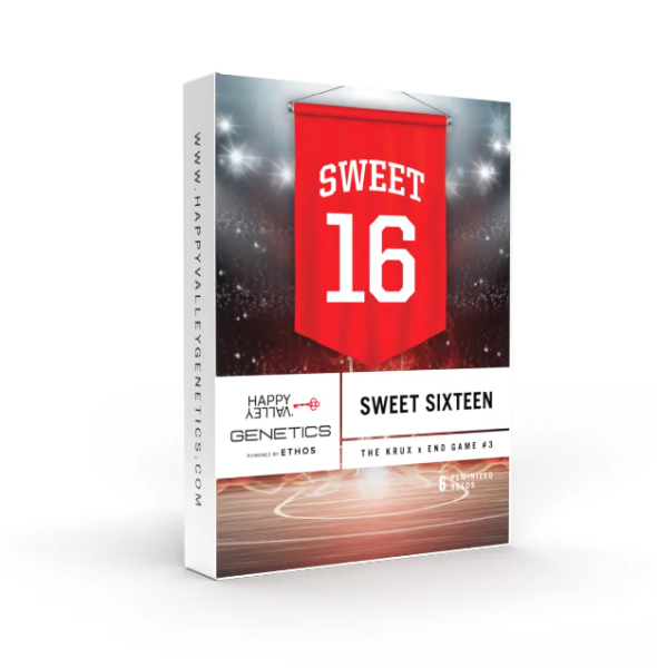 Sweet 16 - HAPPY VALLEY GENETICS | TanieSianie.pl