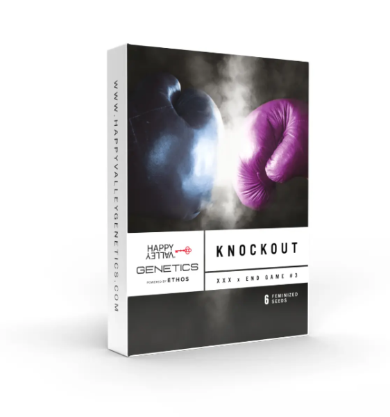 Knockout - HAPPY VALLEY GENETICS | TanieSianie.pl