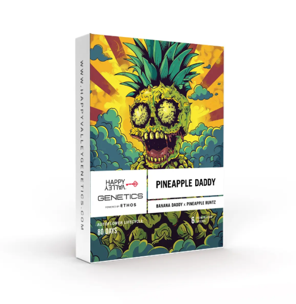 Pineapple Daddy Auto - HAPPY VALLEY GENETICS | TanieSianie.pl