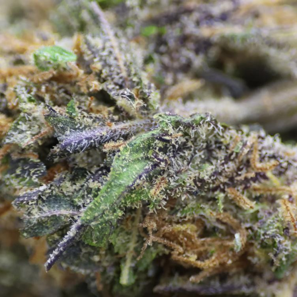 Blueberry Muffins CBD | TanieSianie.pl