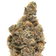 Blueberry Muffins CBD | TanieSianie.pl