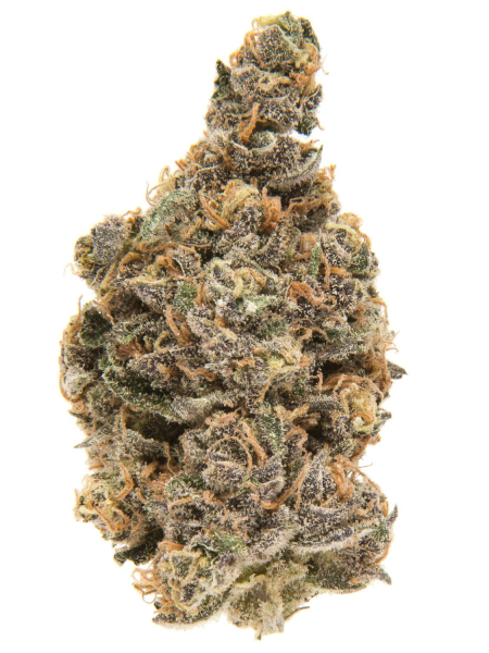 Blueberry Muffins CBD | TanieSianie.pl