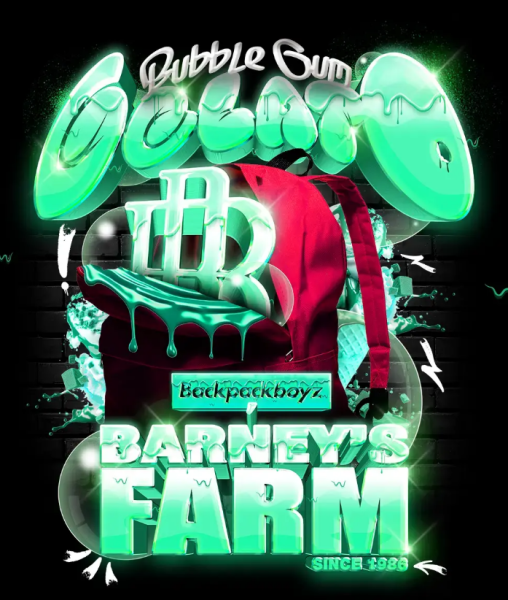 Bubblegum Gelato - BARNEY'S FARM | TanieSianie.pl