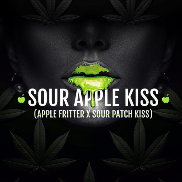 Sour Apple Kiss - ELEV8 SEEDS | TanieSianie.pl