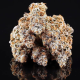 La Bomba - COMPOUND GENETICS | TanieSianie.pl