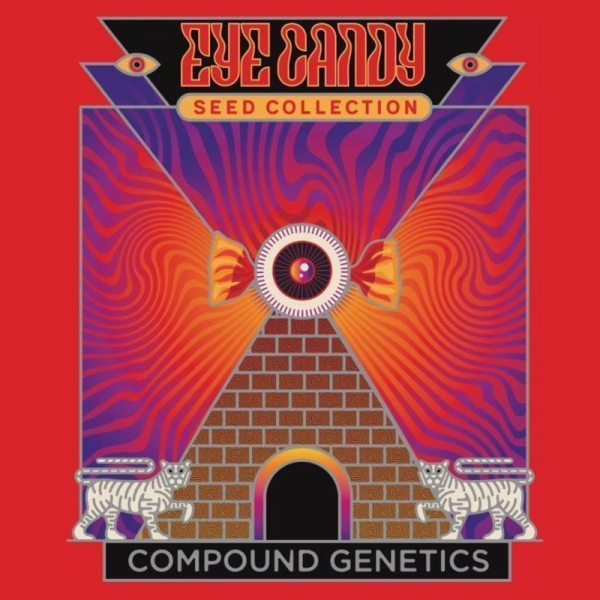 GuwopGreen - COMPOUND GENETICS | TanieSianie.pl