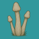 Growkit Penis Envy Full Auto | TanieSianie.pl