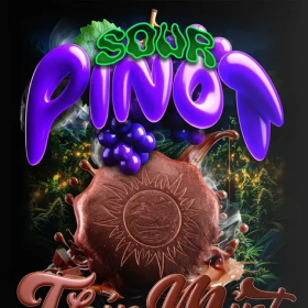 Thin Mint x Sour Pinot Auto - BARNEY'S FARM | TanieSianie.pl