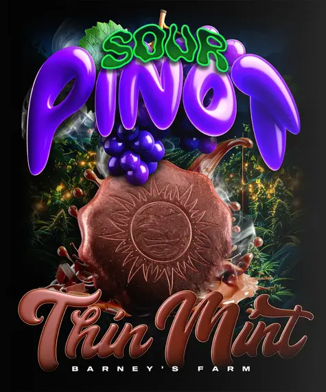 Thin Mint x Sour Pinot Auto - BARNEY'S FARM | TanieSianie.pl