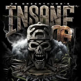 Insane OG - BARNEY'S FARM | TanieSianie.pl