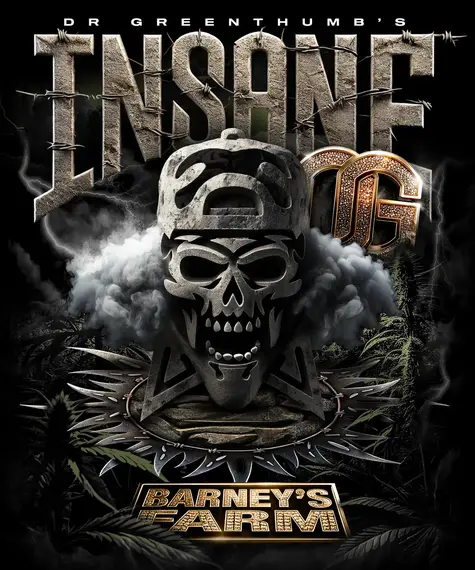 Insane OG - BARNEY'S FARM | TanieSianie.pl