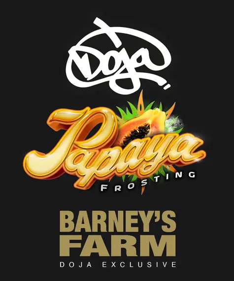 Papaya Frosting - BARNEY'S FARM | TanieSianie.pl