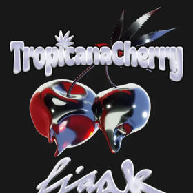 Tropicana Cherry - BARNEY'S FARM | TanieSianie.pl