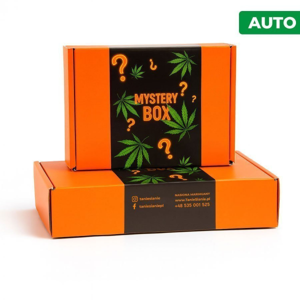 Mystery Box - automatyczne nasiona marihuany | TanieSianie.pl