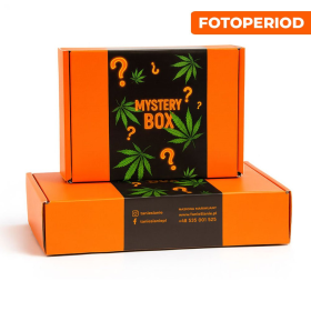 Mystery Box - pełnosezonowe nasiona marihuany | TanieSianie.pl