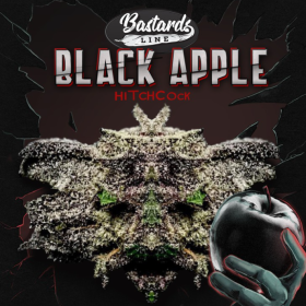 Black Apple Hitchcock - T.H. SEEDS