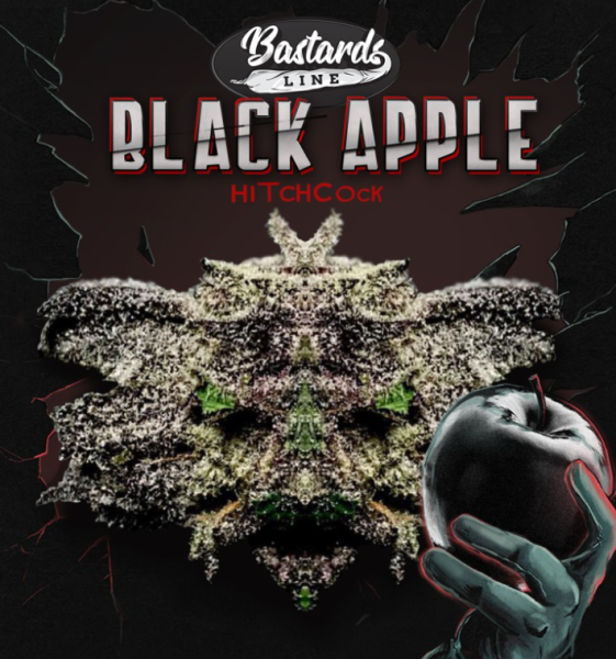 Black Apple Hitchcock - T.H. SEEDS