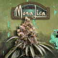 Mona Lisa - T.H. SEEDS