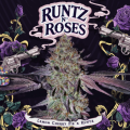 Runtz N' Roses - T.H. SEEDS