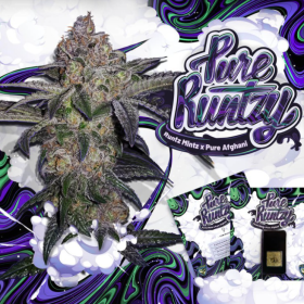 Pure Runtzy - T.H. SEEDS