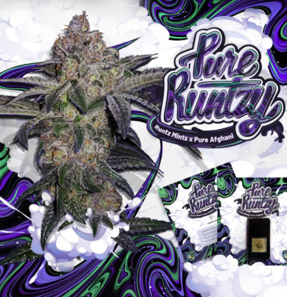 Pure Runtzy - T.H. SEEDS