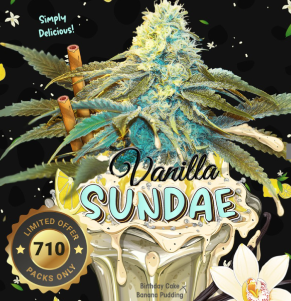 Vanilla Sundae - T.H. SEEDS