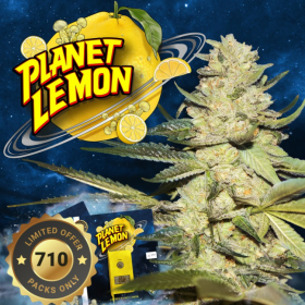 Planet Lemon - T.H. SEEDS