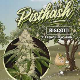 Pisthash - T.H. SEEDS