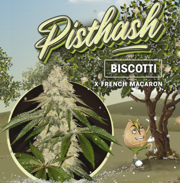 Pisthash - T.H. SEEDS