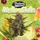 MelonSicle - T.H. SEEDS