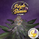 Purple Banana Cream - T.H. SEEDS