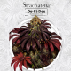 Stracciatella Do-Si-Dos x SBC - T.H. SEEDS