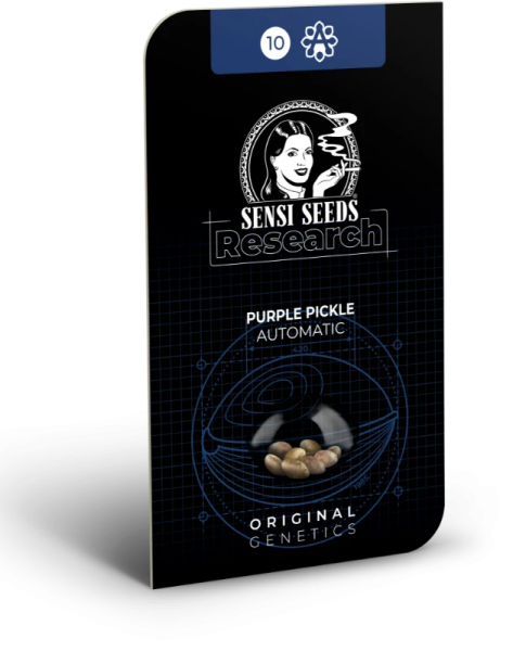 Purple Pickle Auto - SENSI SEEDS